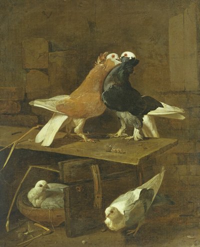 Palomas de Jacomo Victors